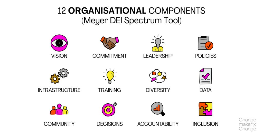 12 Organisational Components (Meyer DEI Spectrum Tool)