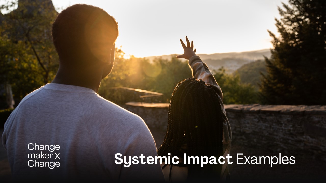 ChangemakerXchange Systemic Impact Examples